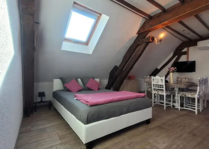 Au 1894 Loft Apartment Avize